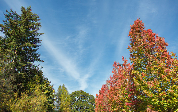 CH160929_FallColors_032