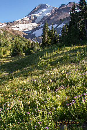 CH130814_MtHood-ElkCove_011