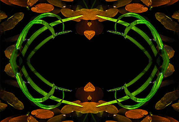 CH150822_JoeGrahamHorseCamp_066-composite