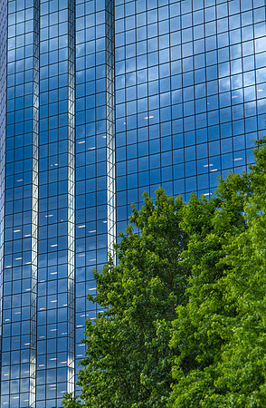 CH140624-6_BellevueWA_108