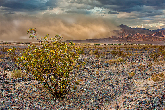 CH120325_DeathValley_MesquiteDunesDustStorm_02-Edit