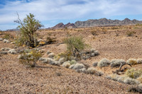 CH250326_BouseHorseCamp-103