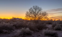 CH250325_BouseHorseCamp-050