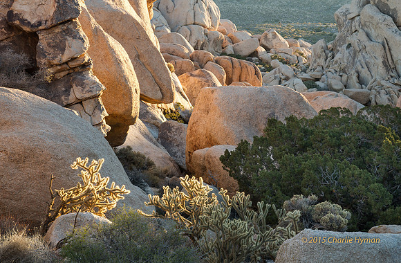 CH141229_GranitePass_MNP__111