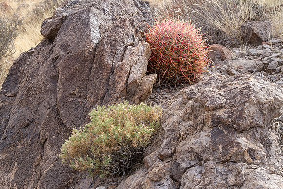CH141224_HoleInTheWall_MNP_259