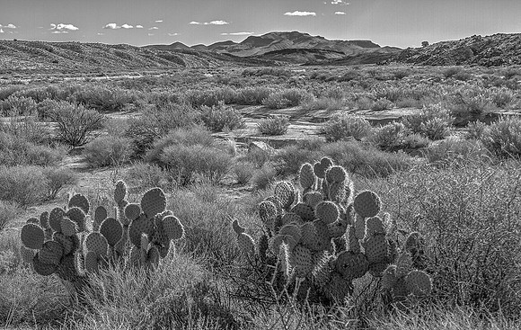 CH141225_RockSprings_MNP_023-Edit