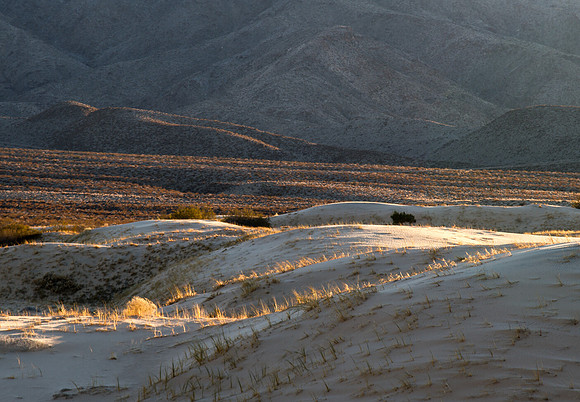 CH141226_KelsoDunes_MNP__032