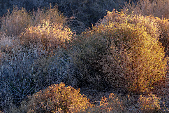 CH141224_HoleInTheWall_MNP_207