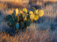 CH141224_HoleInTheWall_MNP_208