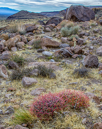 CH141224_HoleInTheWall_MNP_216-Edit