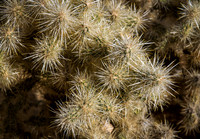 CH141223_HoleInTheWall_MNP_077
