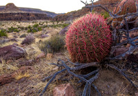 CH141223_HoleInTheWall_MNP_122