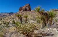 CH141223_HoleInTheWall_MNP_059