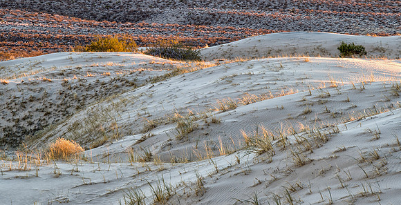 CH141226_KelsoDunes_MNP__038-Edit