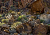 CH141223_HoleInTheWall_MNP_049