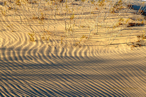 CH141227_KelsoDunes_MNP__071