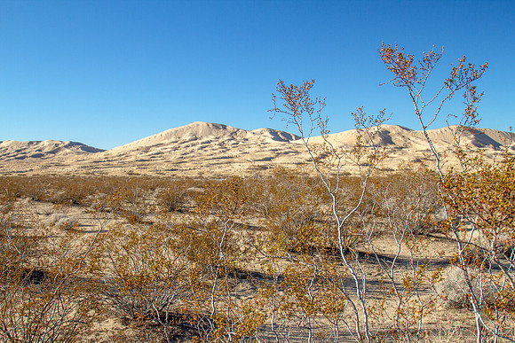 CH141226_KelsoDunes_MNP__015