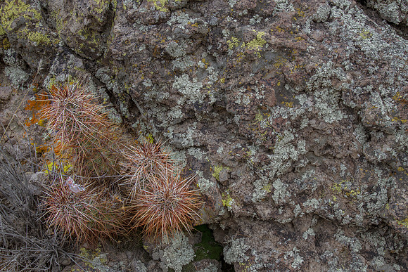 CH141224_HoleInTheWall_MNP_247