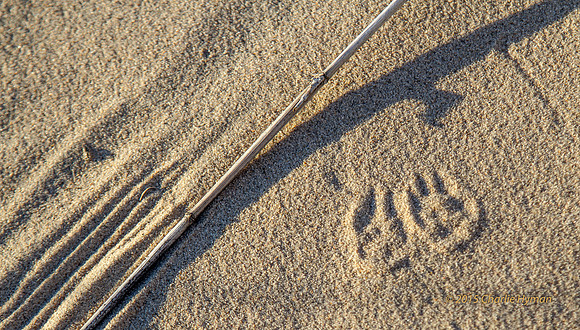 CH141227_KelsoDunes_MNP__049