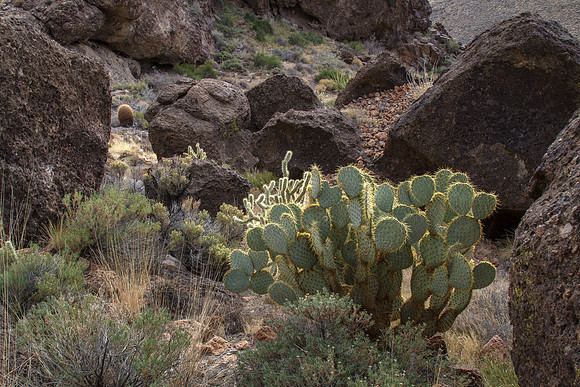CH141224_HoleInTheWall_MNP_254