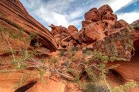 CH151227_ValleyOfFire_011
