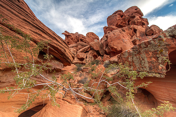 CH151227_ValleyOfFire_011
