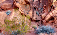 CH151228_ValleyOfFire_016