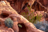 CH151228_ValleyOfFire_014
