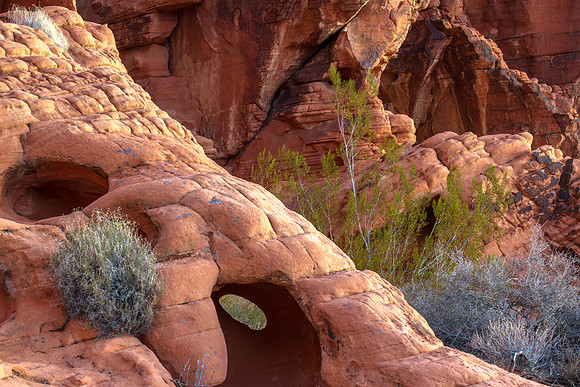 CH151228_ValleyOfFire_014