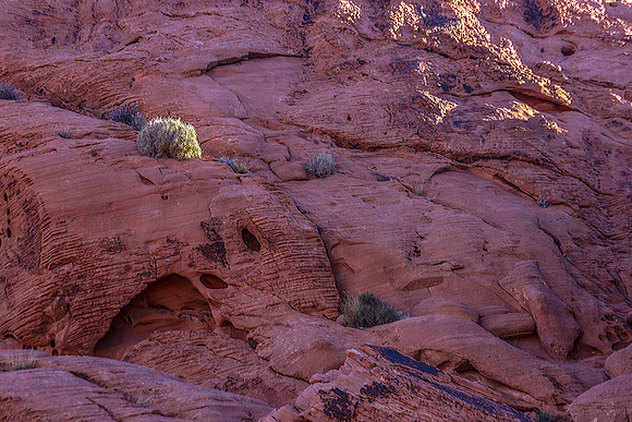 CH151229_ValleyOfFire_162-Edit