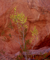 CH151228_ValleyOfFire_058-2