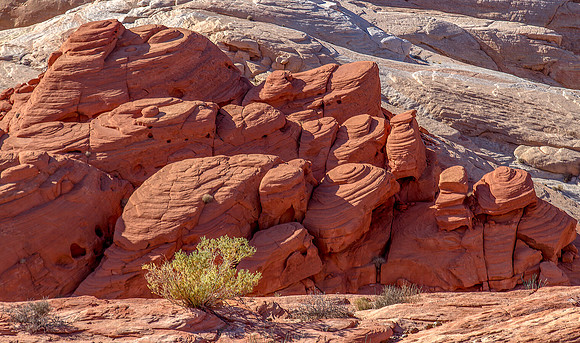 CH151228_ValleyOfFire_065-2-Edit