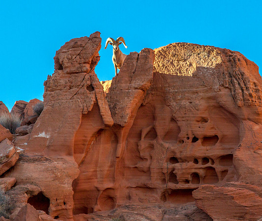 CH151228_ValleyOfFire_059