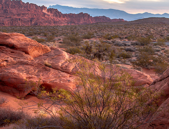 CH151228_ValleyOfFire_008