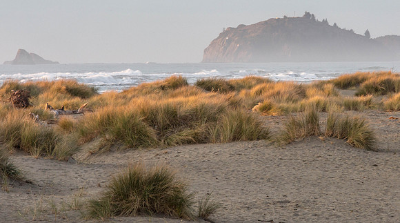 CH161226_ClamBeach_054