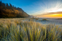 CH131223_GoldenBluffsBeach_025