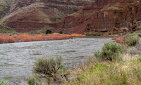 CH160321_CottonwoodCanyon_012
