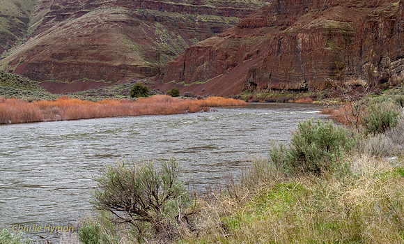 CH160321_CottonwoodCanyon_012