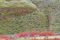 CH160321_CottonwoodCanyon_018