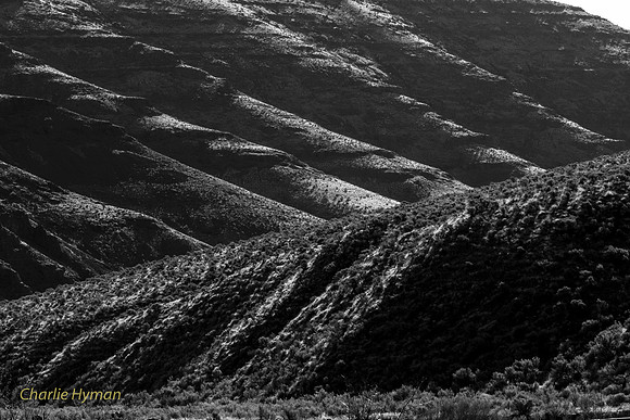 CH160322_CottonwoodCanyon_028