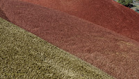 CH160323_PaintedHills_006
