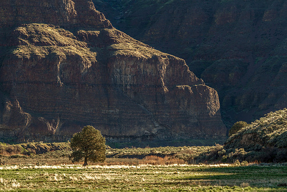 CH160322_CottonwoodCanyon_019