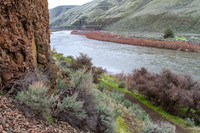 CH160321_CottonwoodCanyon_019