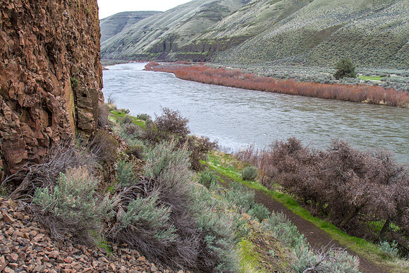 CH160321_CottonwoodCanyon_019