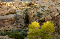 CH110429_AlabamaHills--0040