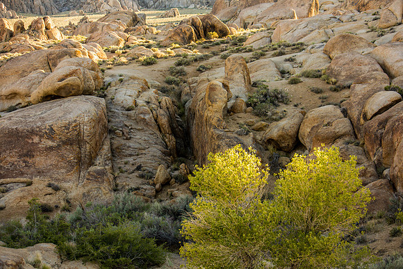 CH110429_AlabamaHills--0040