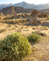 CH110429_AlabamaHills--0032