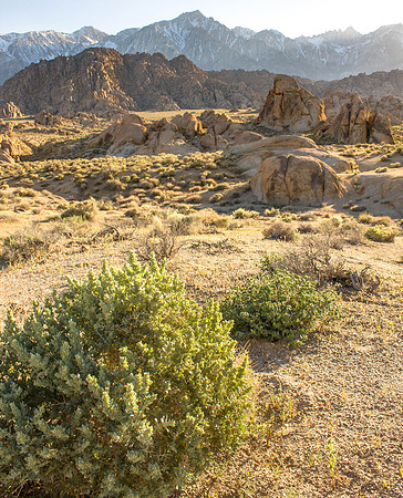 CH110429_AlabamaHills--0032