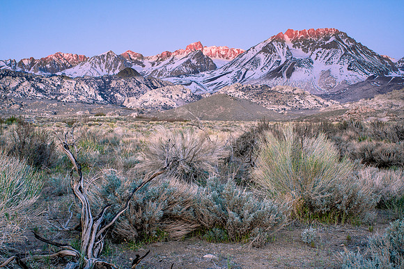 CH110430_ButtermilkMeadow_0022