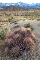 CH110429_AlabamaHills--0073